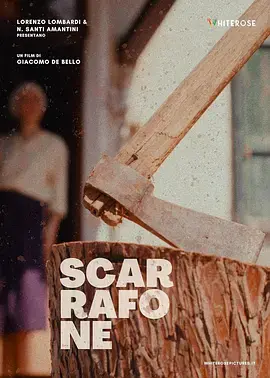 《亲爱的2022》全集高清完整版在线观看与剧情解析