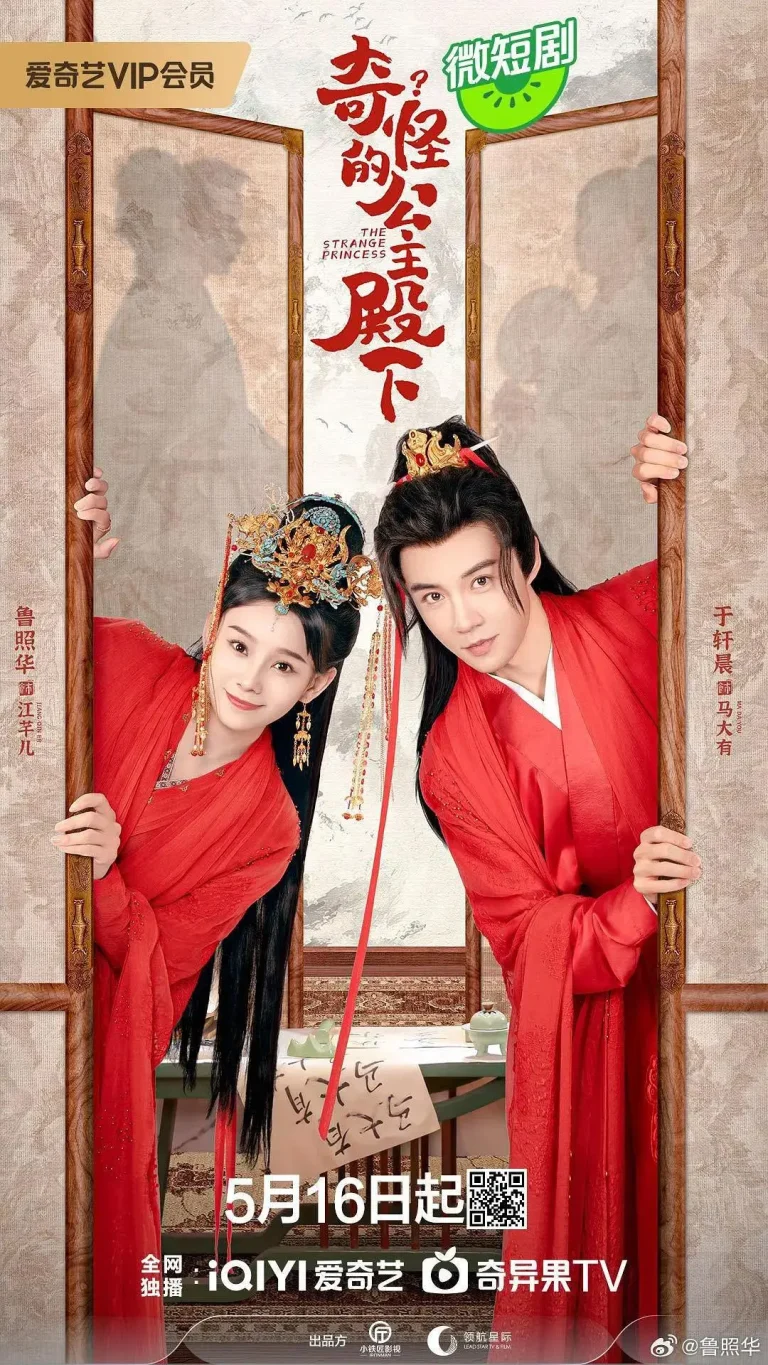 《奇怪的公主殿下》全集高清完整版在线观看与剧情解析