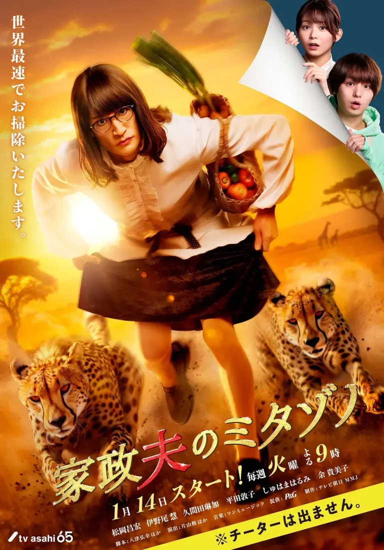 《家政夫三田园7》全集高清完整版在线观看与剧情解析