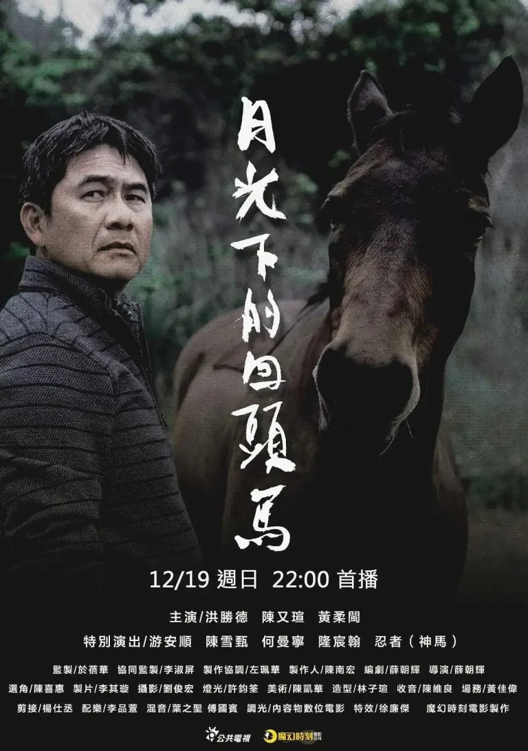 《月光下的回头马》全集高清完整版在线观看与剧情解析