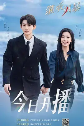 《继承风暴》全集高清完整版在线观看与剧情解析