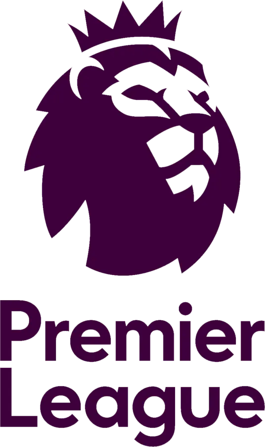 英超 埃弗顿vs西汉姆联20250315