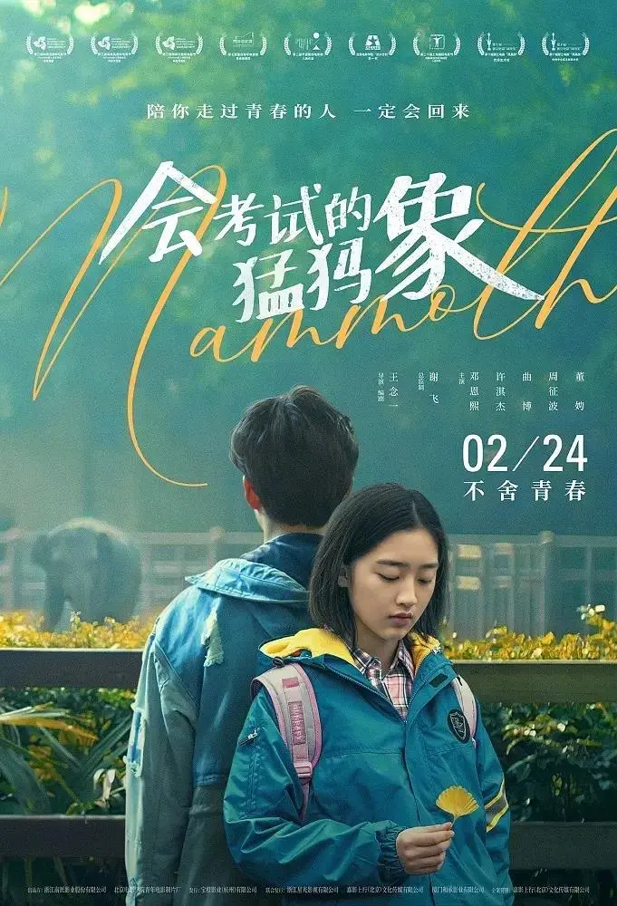 《会考试的猛犸象》全集高清完整版在线观看与剧情解析